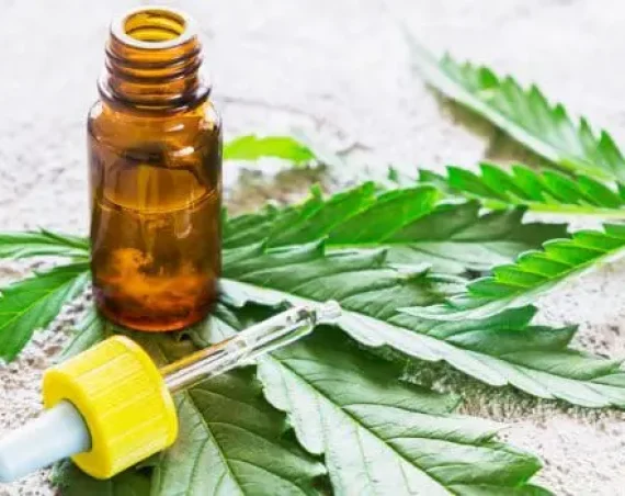 Hemp_Oil-600x350.jpg